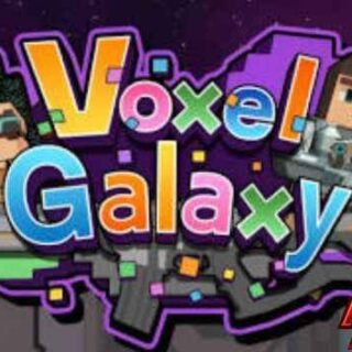 Voxel Galaxy